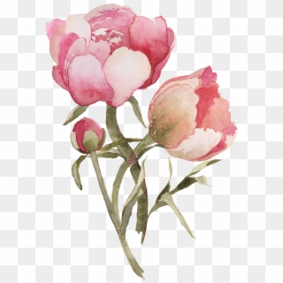Transparent Flowers For Your Tumblr, HD Png Download
