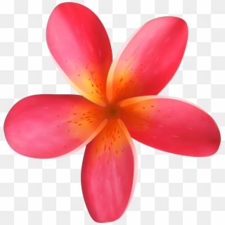 Clipart Flowers Tropical, HD Png Download