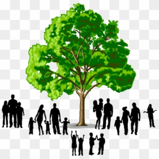 Family Tree Logo Png, Transparent Png