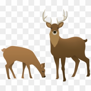 Stag And Doe Transparent Png Image, Png Download