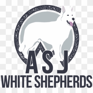 White German Shepherd Puppies For Sale Near Nj, HD Png Download