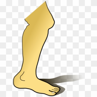 Legs PNG Transparent For Free Download - PngFind