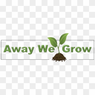 Away We Grow - Attalea Speciosa, HD Png Download