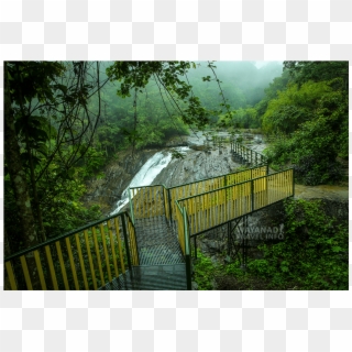 Kanthanpara Waterfalls - Tree, HD Png Download