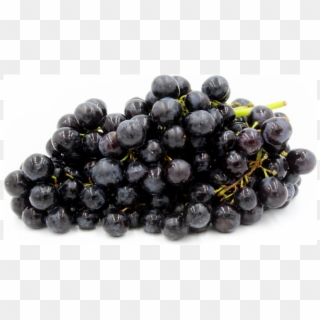 Fresh Black Grapes - Grape, HD Png Download