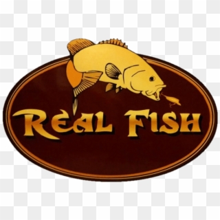 Real Fish Bait Decals 6 X9 - Fish, HD Png Download