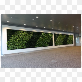 Living Wall 36, HD Png Download