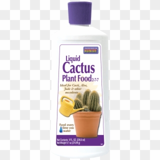Cactus Food - Hedgehog Cactus, HD Png Download