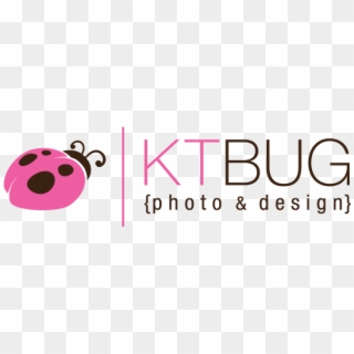 Kt Bug Photography Mn, HD Png Download