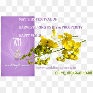 Vishu Wishes - - Happy Vishu In Advance, HD Png Download