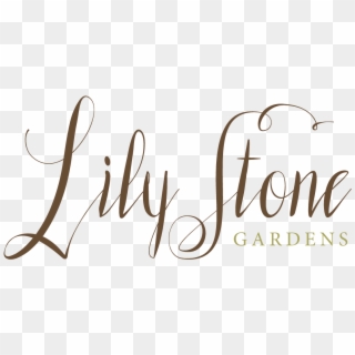 Lily Stone Gardens Logo - Calligraphy, HD Png Download