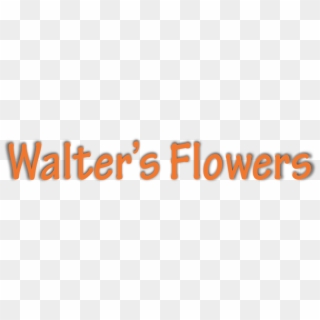 Walter's Flowers - Draw A Flower Pot, HD Png Download