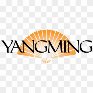 Yangming Restaurant Yangming Restaurant - Yangming Restaurant Bryn Mawr, HD Png Download