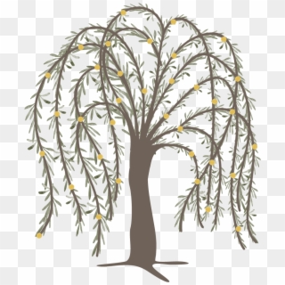 Transparent Png