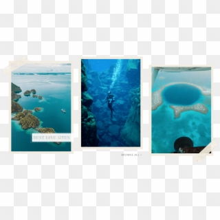 Read The Post - Underwater, HD Png Download