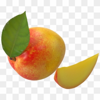 Mango - Fruit, HD Png Download