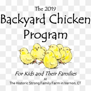 The Backyard Chicken Program - Cartoon, HD Png Download