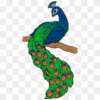 Bird Drawing Peacock - Easy Drawing Of Peacock, HD Png Download