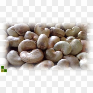 Cashew Nut Extract, HD Png Download