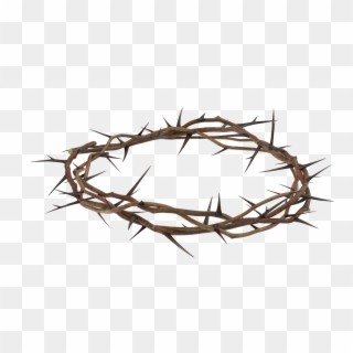 Transparent Background Crown Of Thorns Png, Png Download
