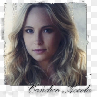 Candice Accola >> Biography, HD Png Download