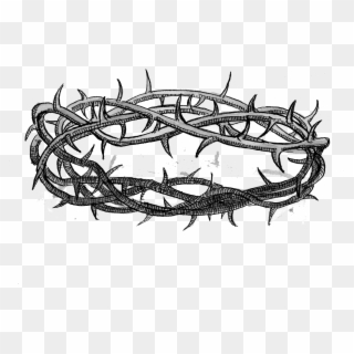 Crown Of Thorns Png Free Images - Sketch, Transparent Png