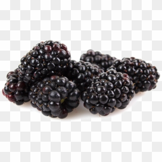 Kotata Blackberries - Marionberry Png, Transparent Png