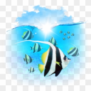 Animals Fishes Icon Image - Clip Art, HD Png Download