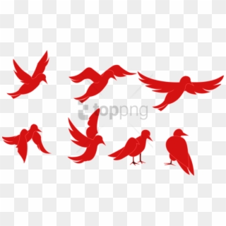Free Png Red Bird Flying Png Image With Transparent - Bird Flapping Wings Animation, Png Download