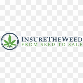 Marijuana Business Insurance Quotes - Parallel, HD Png Download