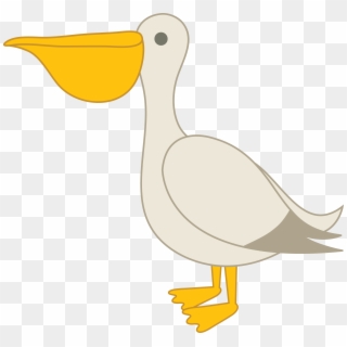 Pelican Free Png Image, Transparent Png