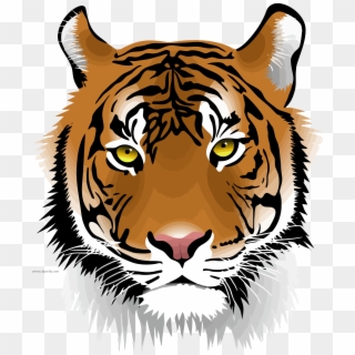 Rawlings Tigers Indiana - Free Transparent PNG Clipart Images Download