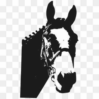 Horse Head Silhouette Png - Illustration, Transparent Png