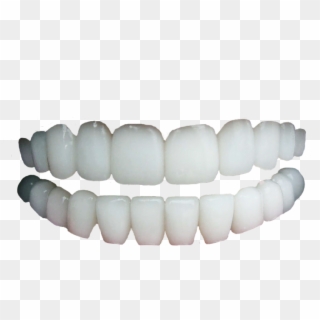 Human Teeth No Gums - Transparent Background Teeth Png, Png Download
