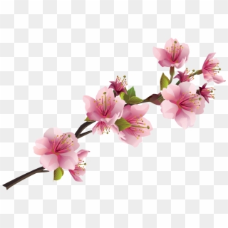 Sakura Pink Flowers Png Free Images - Pink Flowers Png, Transparent Png