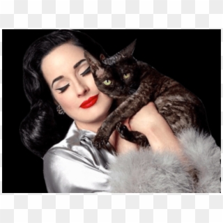 The Latest Celebrity, Free Transparent Png Images - Dita Von Teese Aleister Von Teese, Png Download