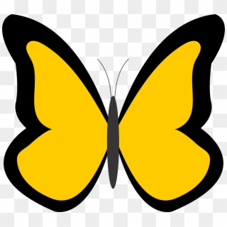 Butterfly PNG Transparent For Free Download - PngFind
