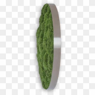 Pole Moss Circle 80cm - Artificial Turf, HD Png Download