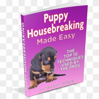Funny Dog Names - Rottweiler, HD Png Download