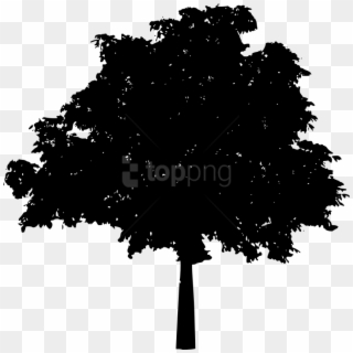 Oak Tree Silhouette Png - Silhouette Black Tree Vector, Transparent Png