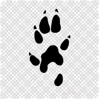 Transparent Paw Prints - Person With Transparent Background, HD Png Download