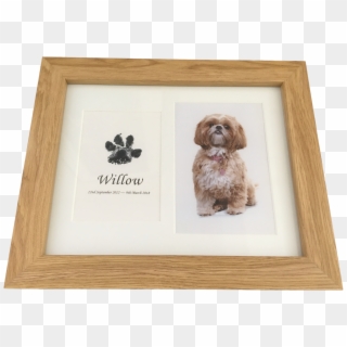 Dog Paw Print In Wood Frame With Photograph Using Inkless - Dog Keepsakes, HD Png Download