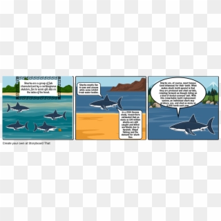 1164 X 385 4 - Storyboard Shark, HD Png Download