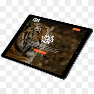 Conservation Event In April 2016 And Featured On High-profile - Tablet Computer, HD Png Download