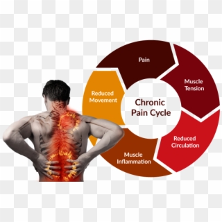 Back Pain Cycle Bigger - Continuous Improvement Service Management, HD Png Download
