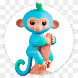 With Fingerlings, Fun Is Always Close At Hand - Fingerlings Baby Monkey Charlie, HD Png Download