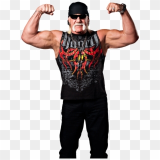 Jeff Hardy Vs Austin Aries Tna Heavyweight Champion - Imágenes De Hulk Hogan En Tna, HD Png Download