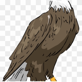 Eagle Free Hatenylo Com Bald Clipartix Science Ⓒ - Philippine Eagle Clip Art, HD Png Download