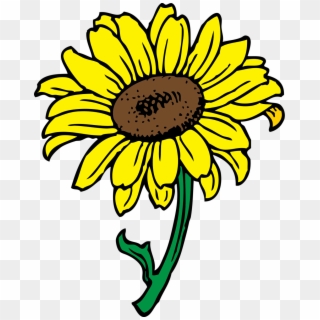 958 X 1197 4 - Clip Art Of Sunflower, HD Png Download