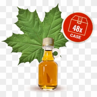 Maple Syrup, Small Galone Bottle, 48 X Bottles Case, - Green Maple Leaf, HD Png Download